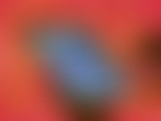 Do you have games on your phone?