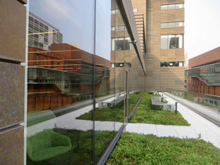 Protect your heart: Nervous system regulation techniques for heart health