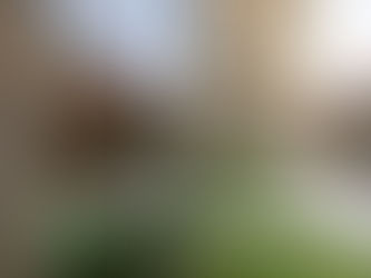 Protect your heart: Nervous system regulation techniques for heart health