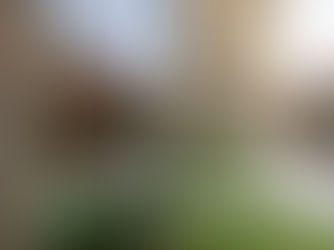 Protect your heart: Nervous system regulation techniques for heart health