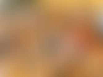 The 15th anniversary of Wes Anderson’s ‘Fantastic Mr. Fox’: Cultural endurance and the art of adaptation