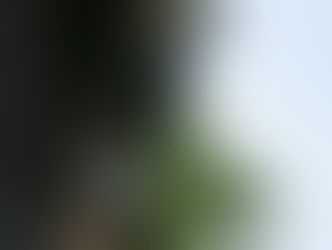 ‘A year of stabilization and renewed momentum’: Barnard releases its record for fiscal year 2025