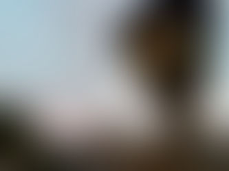 Opinion: Columbia’s relationship to Epstein highlights a broader failure of donor accountability at elite institutions