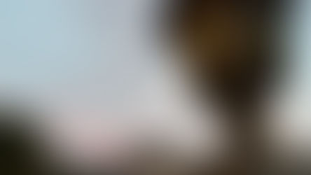 Opinion: Columbia’s relationship to Epstein highlights a broader failure of donor accountability at elite institutions