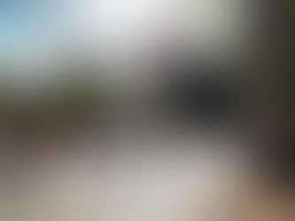 Pups, pickles, and proposals: The spirit of the New York City Marathon