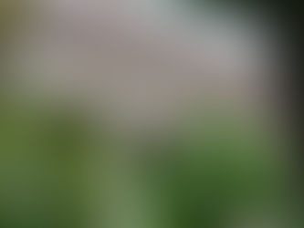 Over 70 faculty members sign open letter demanding the College address Francine LeFrak’s ties to Jeffrey Epstein