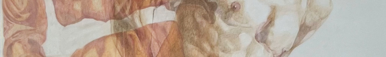 Celestini Cristina, La fuga, colour pencils on Polymer paper 94x82cm, 2025_edited_edited_e