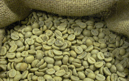 קפה אתיופי(בונה) ቡና