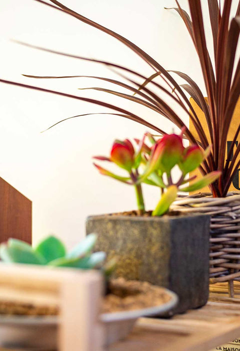 手仕事に彩られた、色と明かりの空間ノルディック モダン|株式会社つづく|岐阜県高山市