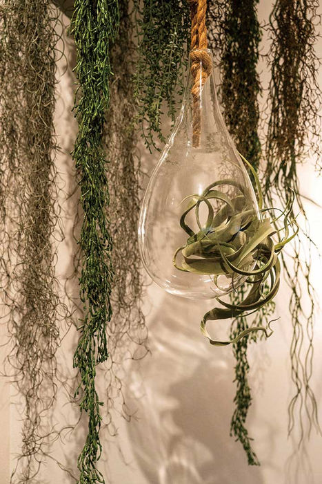 自分時間を楽しむ
ブルックリン スタジオ|株式会社つづく|岐阜県高山市