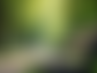 Natural Ways to Relieve Stress Effectively