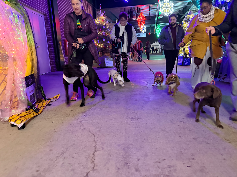 Wayne loved hanging with the gang