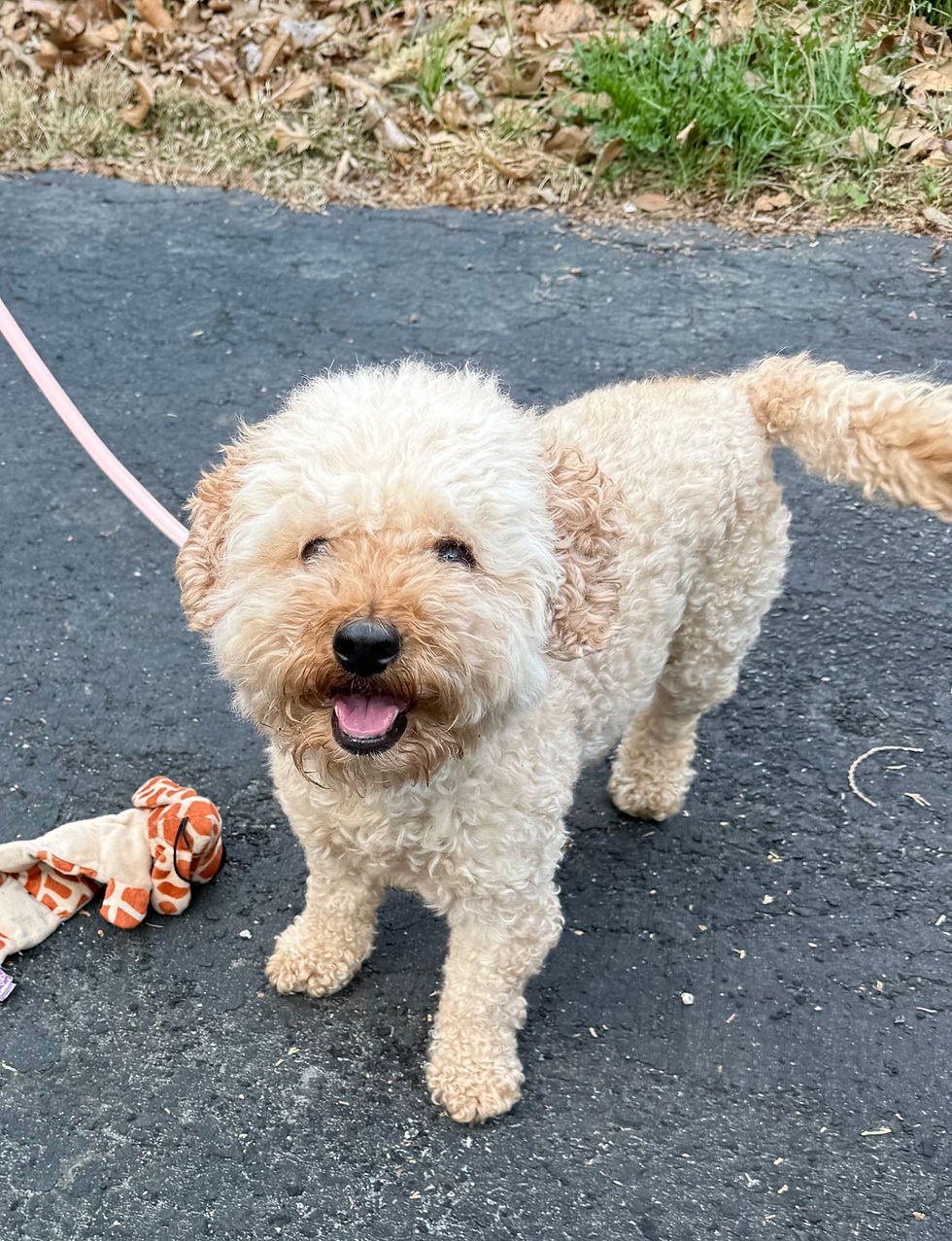 Winnie