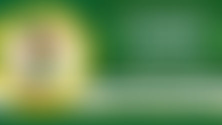 St. Patrick’s Day Dog Parade