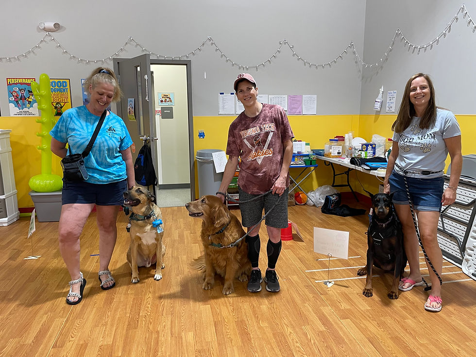 Amy LaLa & Coda Scoop & Charlie Jennifer & Lexi