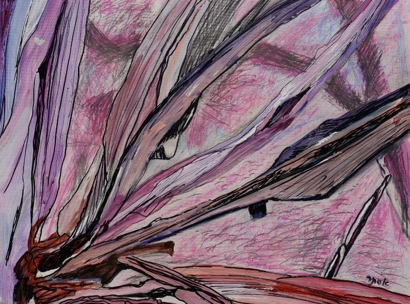 Bird of Paradise Flower Pictures - Cyclamen of Heaven