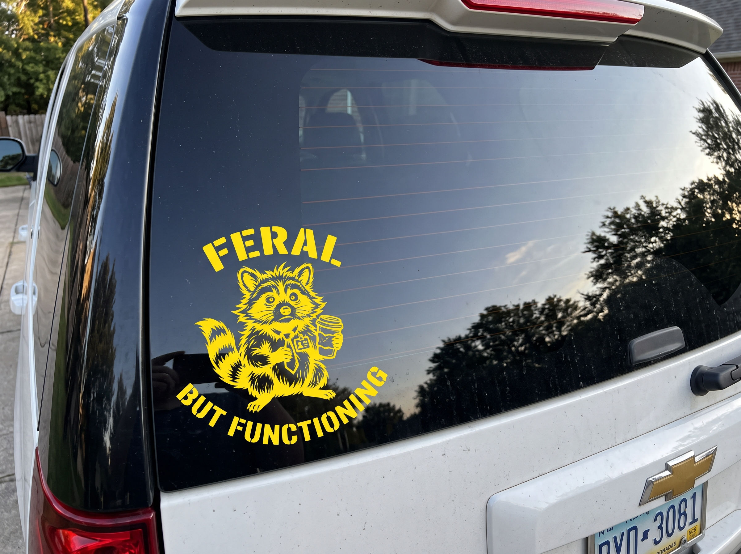 Feral But Functioning Raccoon Vinyl Decal 02