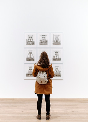 Art Gallery Visitor