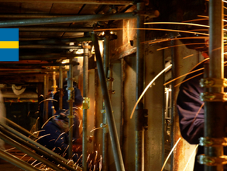 WELDERS 141/111 AND PIPE-FITTERS
