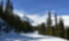 cropped-header3-1024x614.jpg