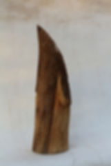 IMG_4367.jpeg