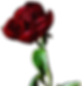 Just Peony Open.png