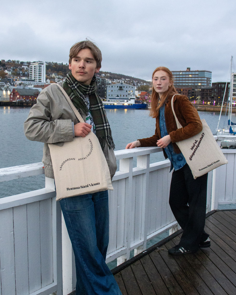 Utvalgte samisk hus - Isak Erdahl-21