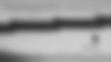visitor-070926.gif