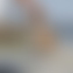 НУЖНО ЛИ РАЗВЯЗЫВАТЬ КОБЕЛЯ?