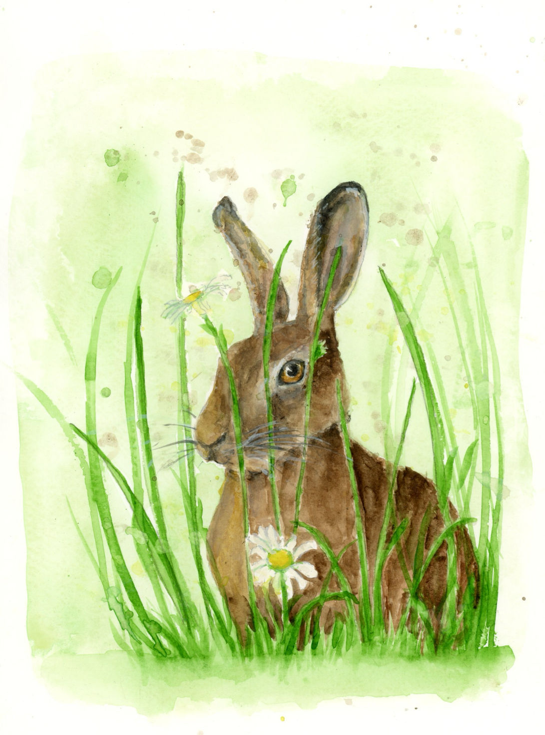 Miss Daisy Hare - Signed, Limited Edition Print