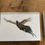 Thumbnail: Up & Away Notebook