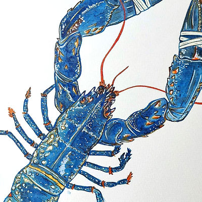 LobsterbyCarrieBristow.