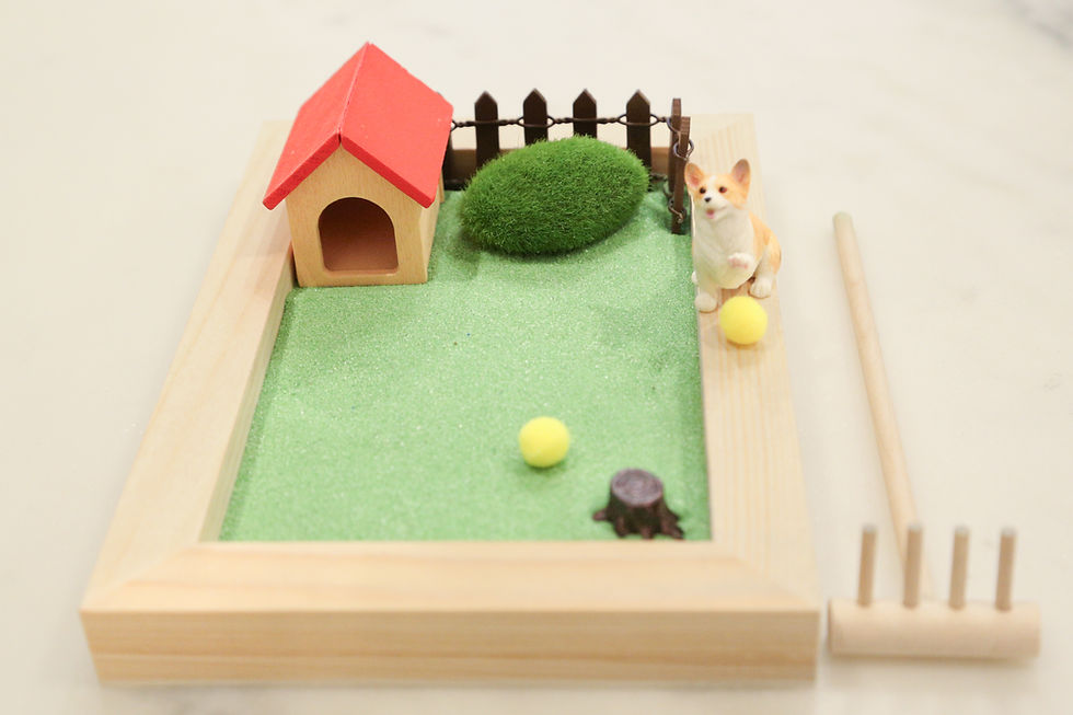Thumbnail: Miniature dog with ball, dog house, and wooden fence, on green grass.