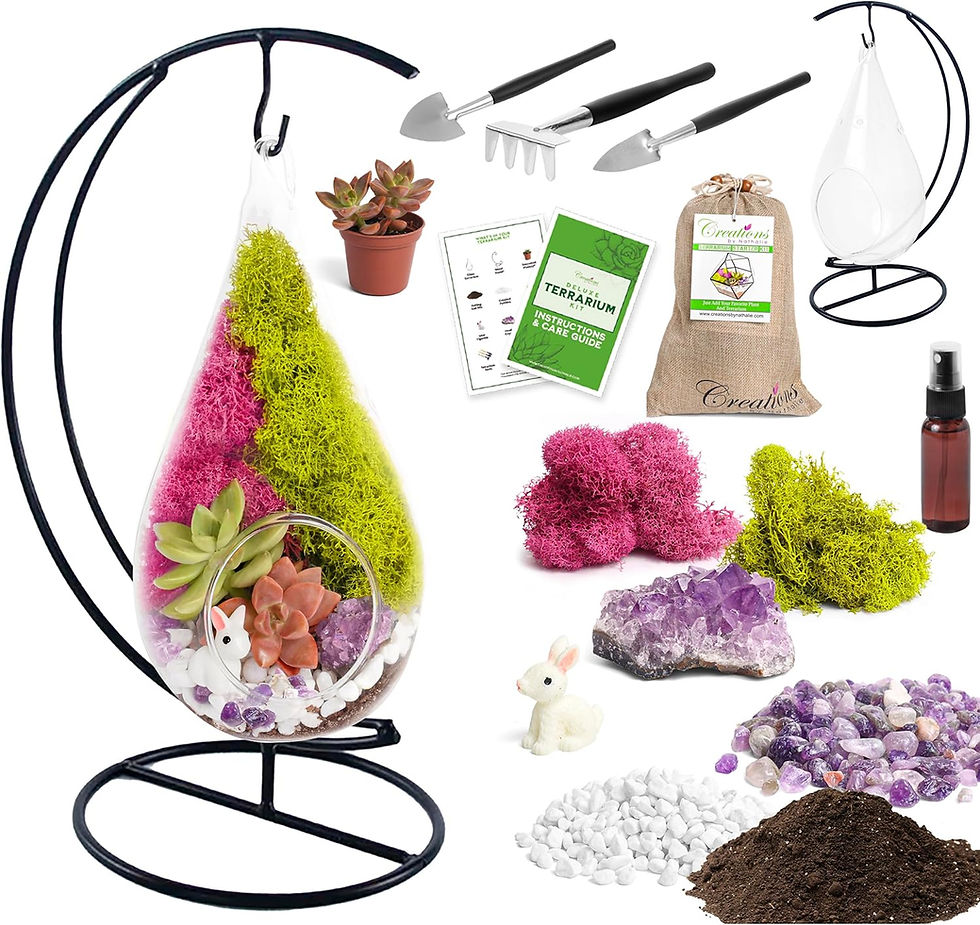 Terrarium kit with glass container on a stand, colorful moss, succulents, mini tools, and decorative stones. Includes care guide and plant.