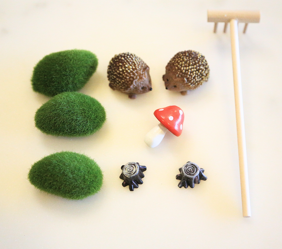 Thumbnail: Miniature garden kit: hedgehogs, mushrooms, moss, and rake