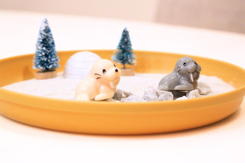 Walrus Mini Zen Garden | Mayberry Zen Gardens