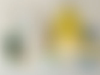 Duck-themed items on a table: socks, mug, tray, apron, lamp, and framed duck art. Bright yellow and blue colors create a playful mood.