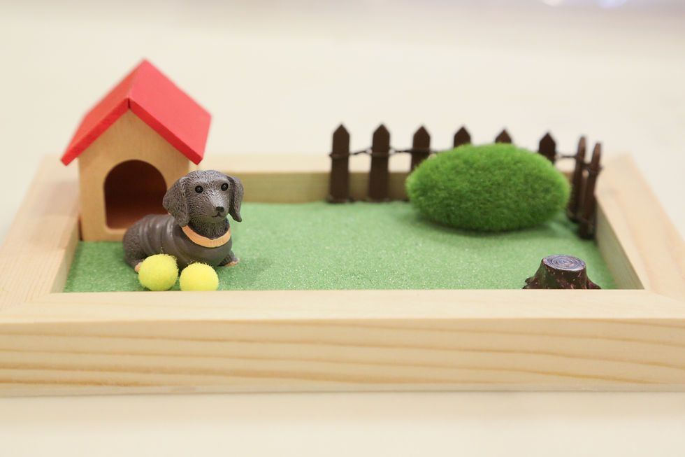 Thumbnail: Miniature dachshund dog in a dog house with two yellow toy balls