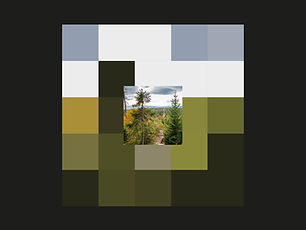 Treemap_Lusen-010.jpg
