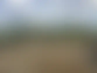 Be a voice for the future of the Oak Bluff Rec Club!