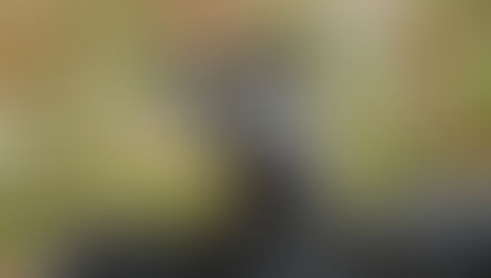 Depth of Field: עומק שדה