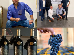 WINE MAKERS: MAGOS DEL VINO