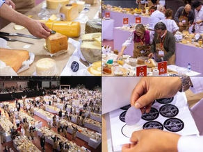 EL MEJOR QUESO DEL MUNDO