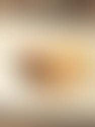 EL PODER TRANSFORMADOR DEL ARTE EN LA GASTRONOMÍA