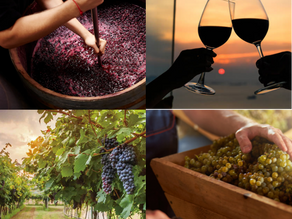 DE LA VIÑA A LA COPA