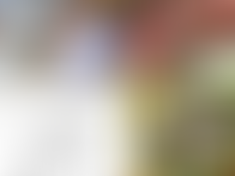 YA ESTÁ AQUÍ, DESCUBRÍ