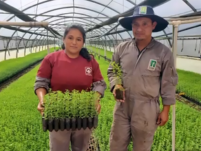 EL ORÉGANO, LA ESTRELLA EN EUROPA