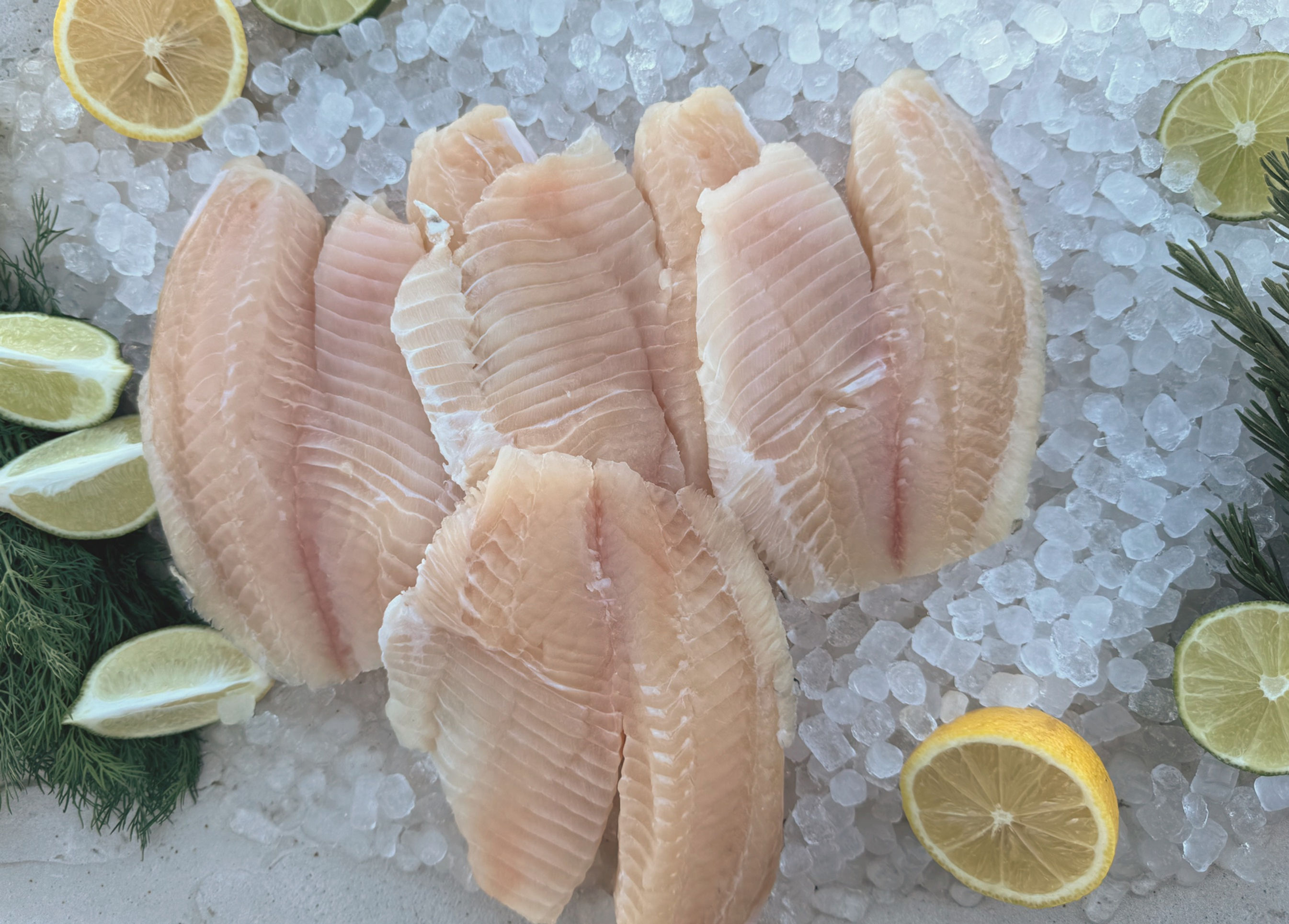 Tilapia Fillet - 5 pieces