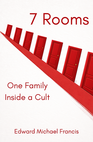 7 Rooms Book Cover (1).png