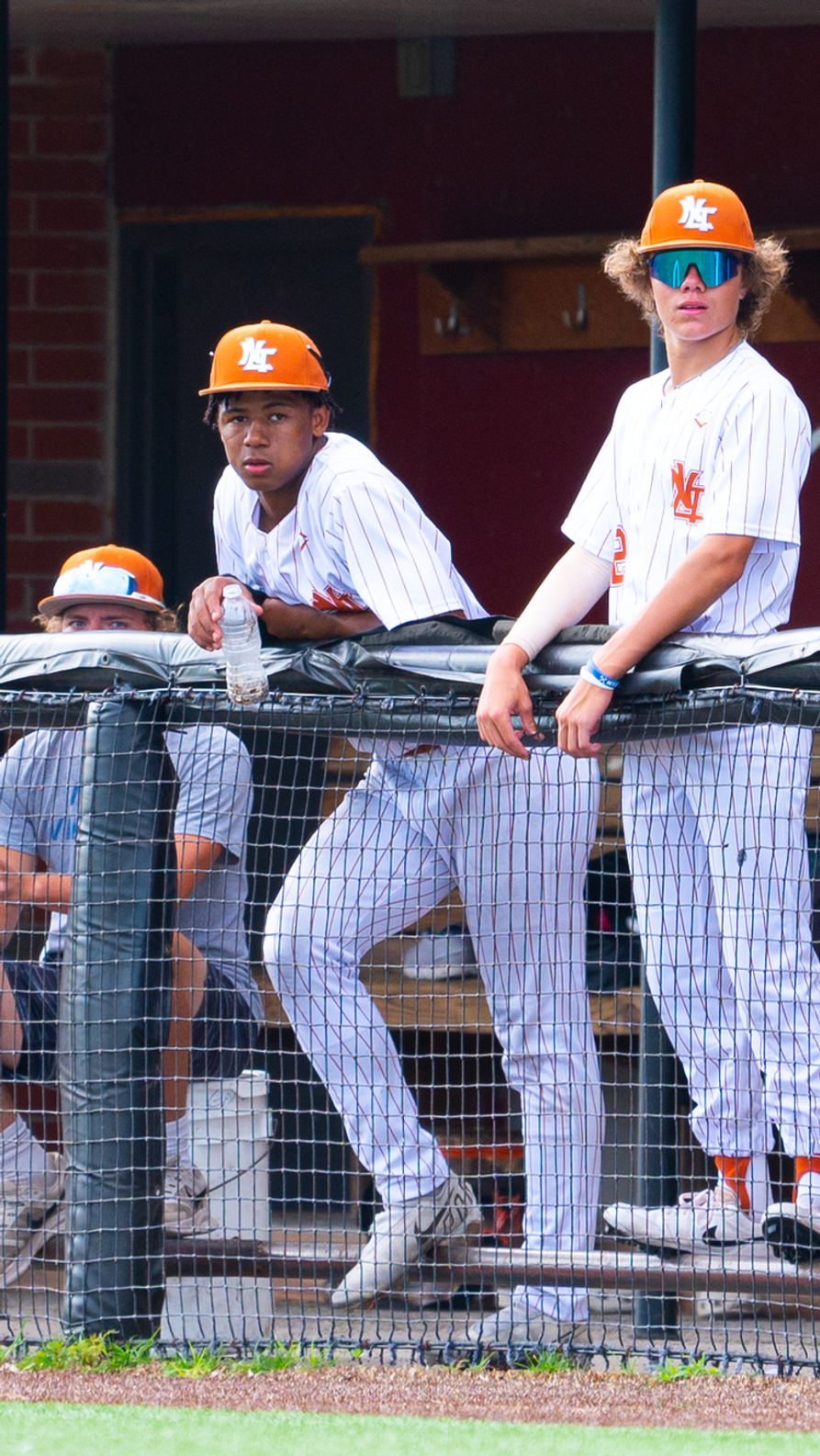 Home of North Texas Longhorns | McKinney, TX | North Texas Longhorns